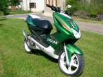 Le nitro 2001 : jaguar vert nacr� de biker-54