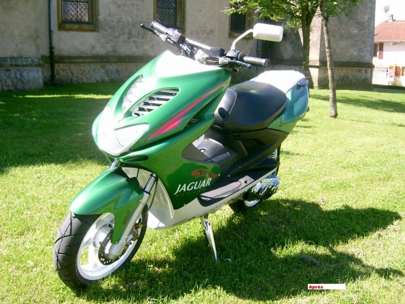 22006-le-nitro-2001-jaguar-vert.jpg